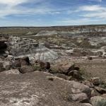 2023OTRA_721 (May 07, 2023)